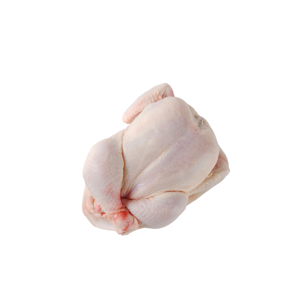 POULET VIDE (KG) - دجاج كامل