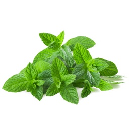 [FG-25] MENTHE (U) - النعناع