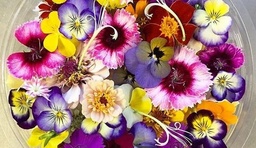 [FG-35] FLEUR COMESTIBLE (U) - الزهرة الصالحة للأكل